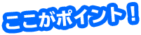 ここがポイント！