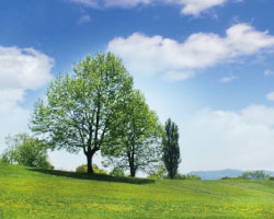 休日を増やしやすい