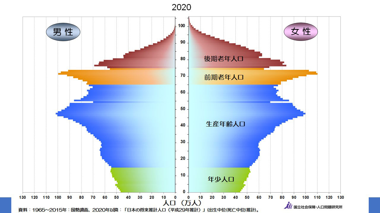 人口ピラミッドのグラフ