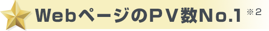 WebページのPV数No.1