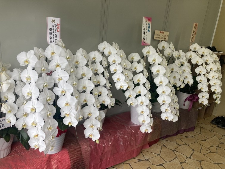 求人画像 サブ画像10