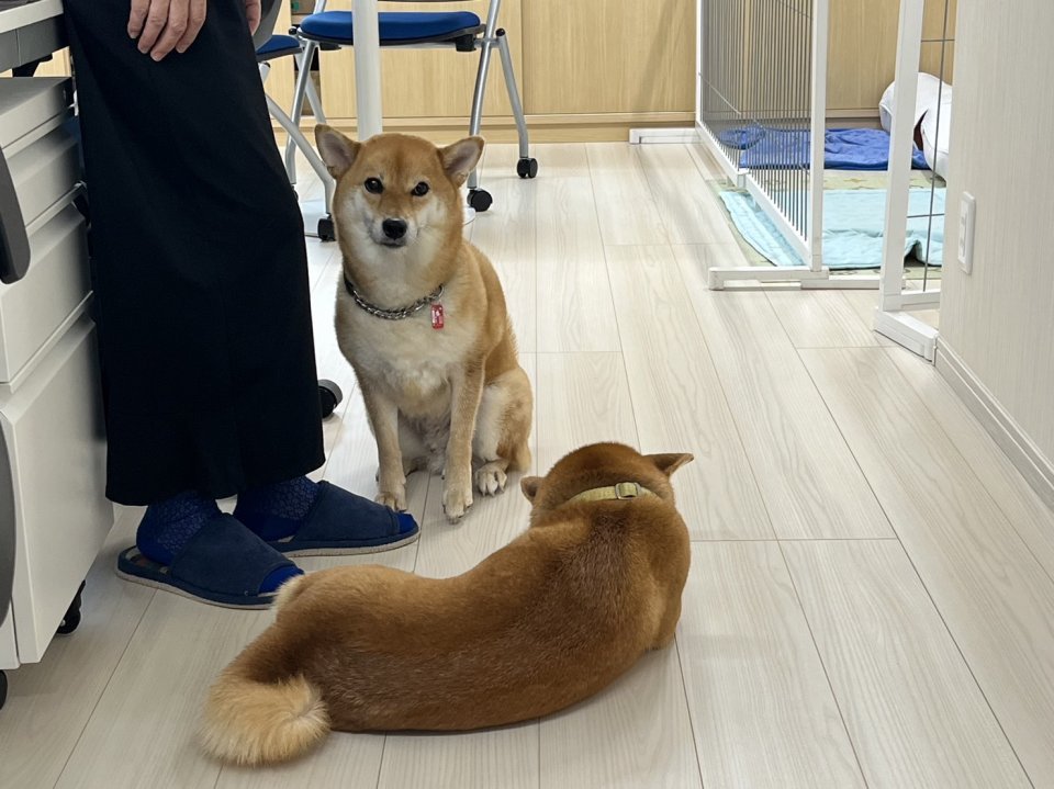 求人画像 サブ画像9