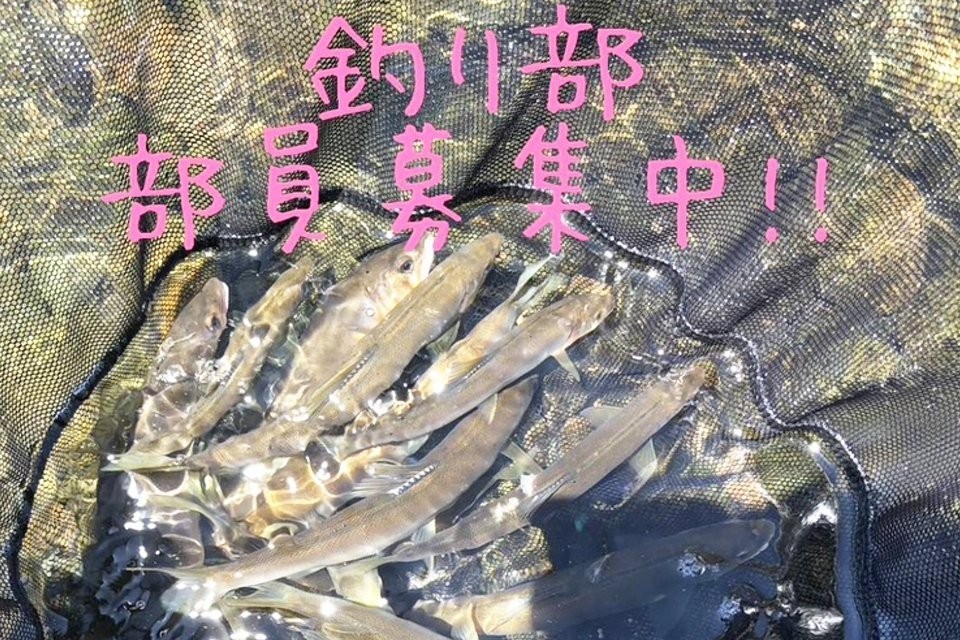 求人画像 サブ画像4
